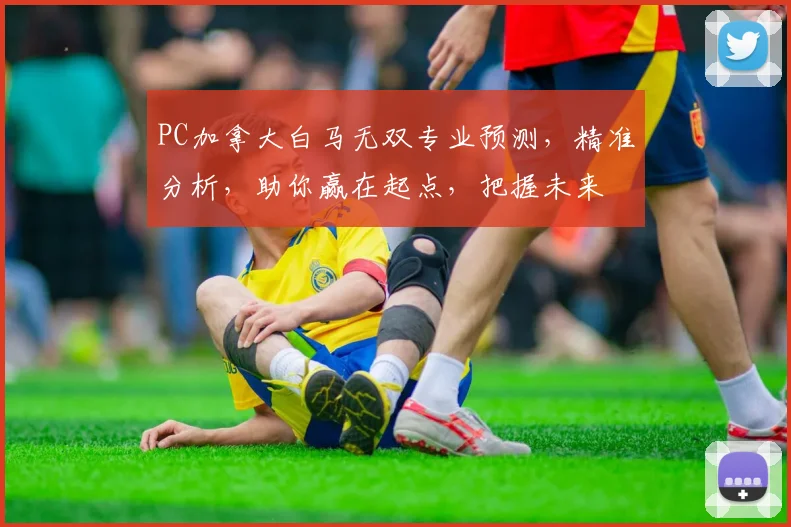PC加拿大白马无双专业预测，精准分析，助你赢在起点，把握未来