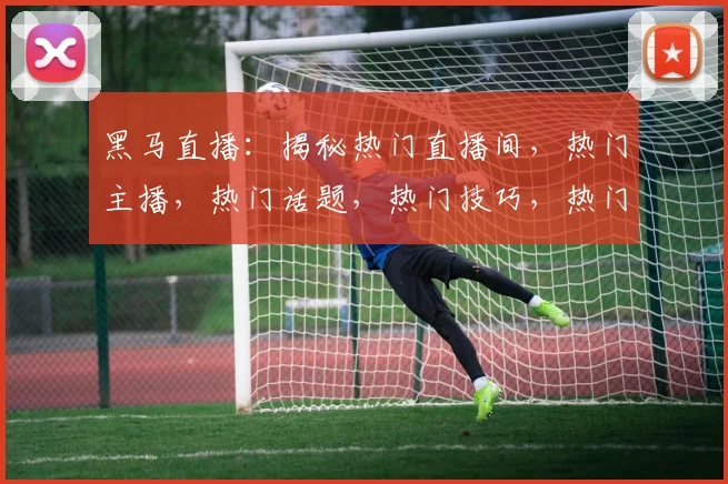 黑马直播：揭秘热门直播间，热门主播，热门话题，热门技巧，热门玩法
