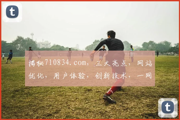揭秘710834.com，三大亮点，网站优化，用户体验，创新技术，一网打尽