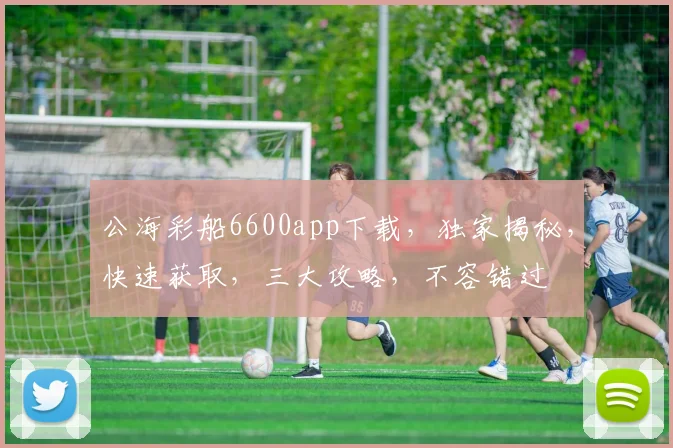 公海彩船6600app下载，独家揭秘，快速获取，三大攻略，不容错过